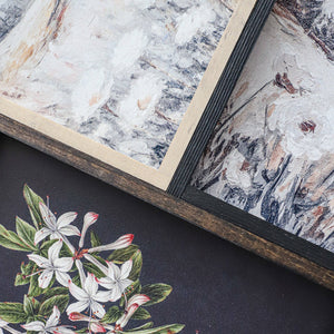 Vintage Print Framed | WildFlowers A22