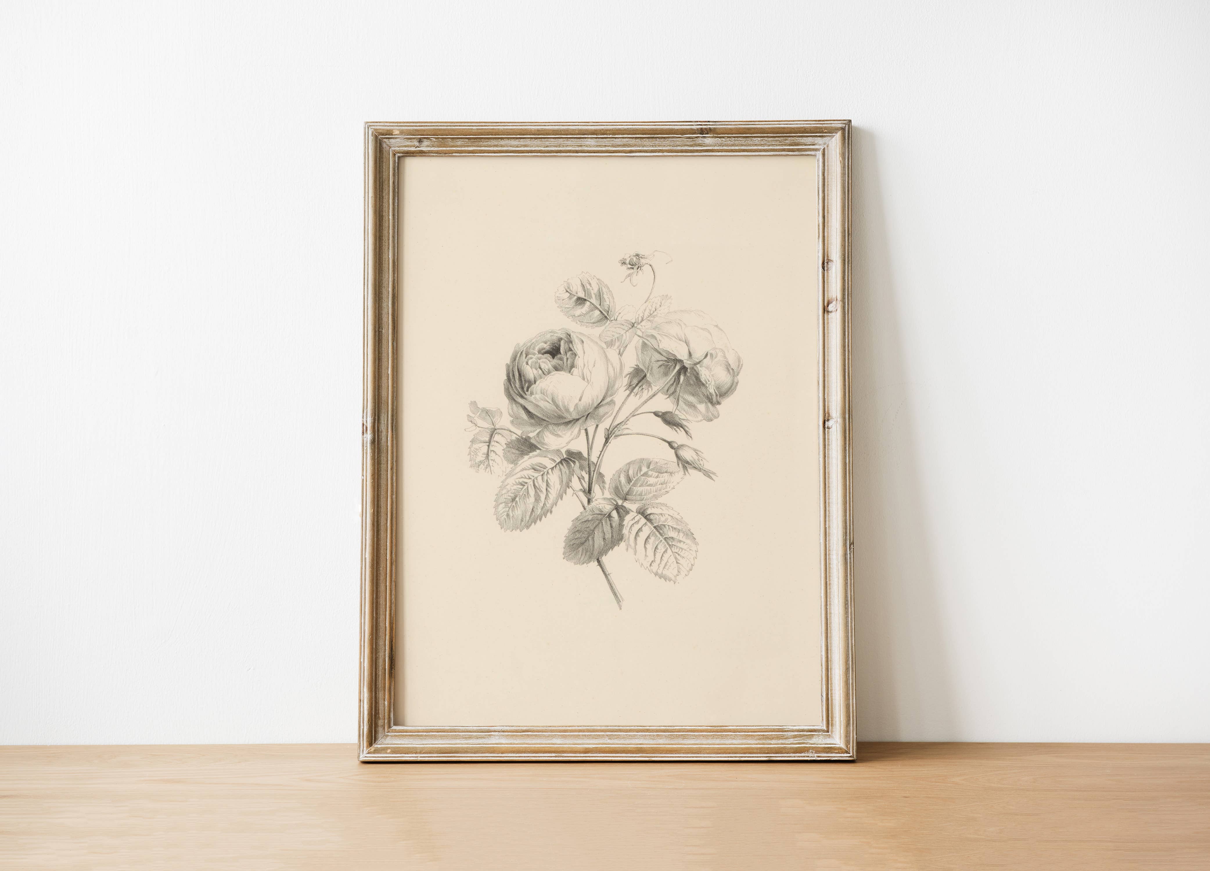 Floral Antique Vintage Art Print