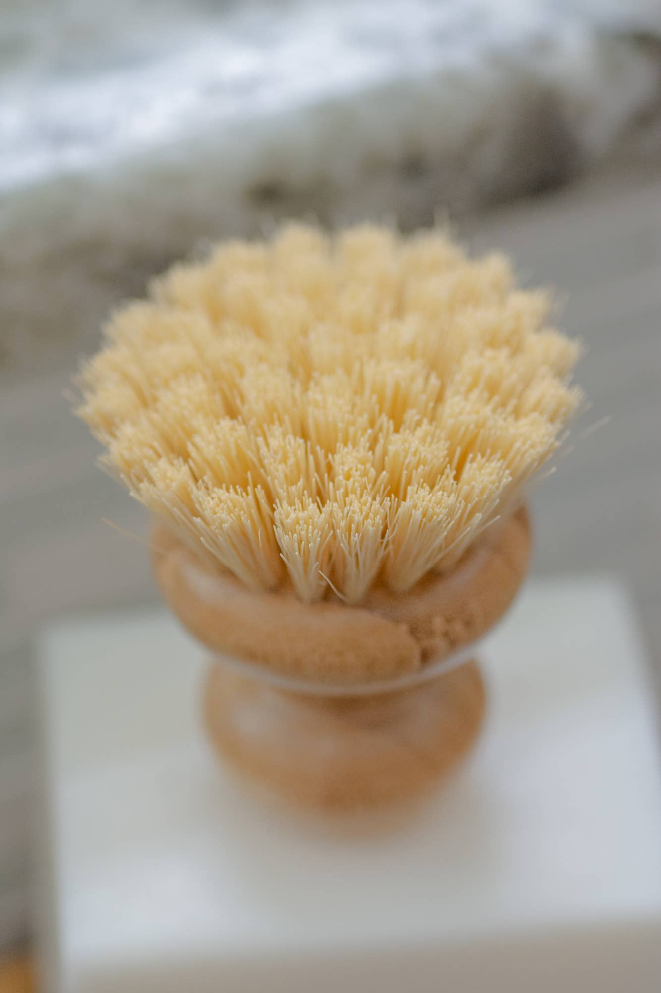 CASA AGAVE® Dish Washing Brush - No Tox Life