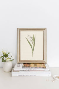 Vintage Flower Art Print