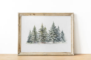 Evergreen Forest Art Print 11 x 14