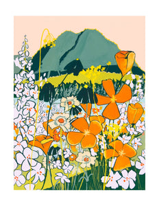 Mt Ozzard by Liz Miles