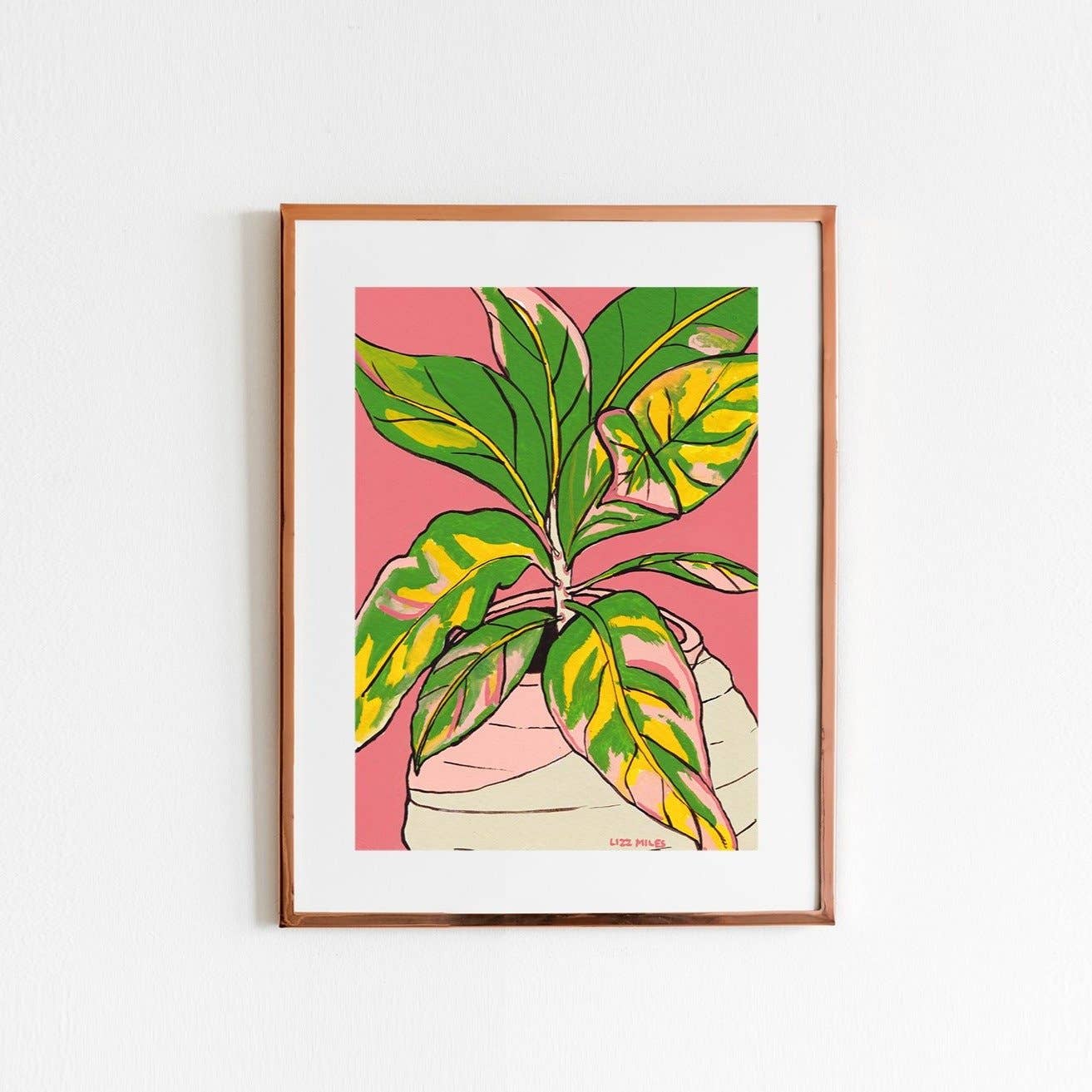 Croton Plant by Liz Miles