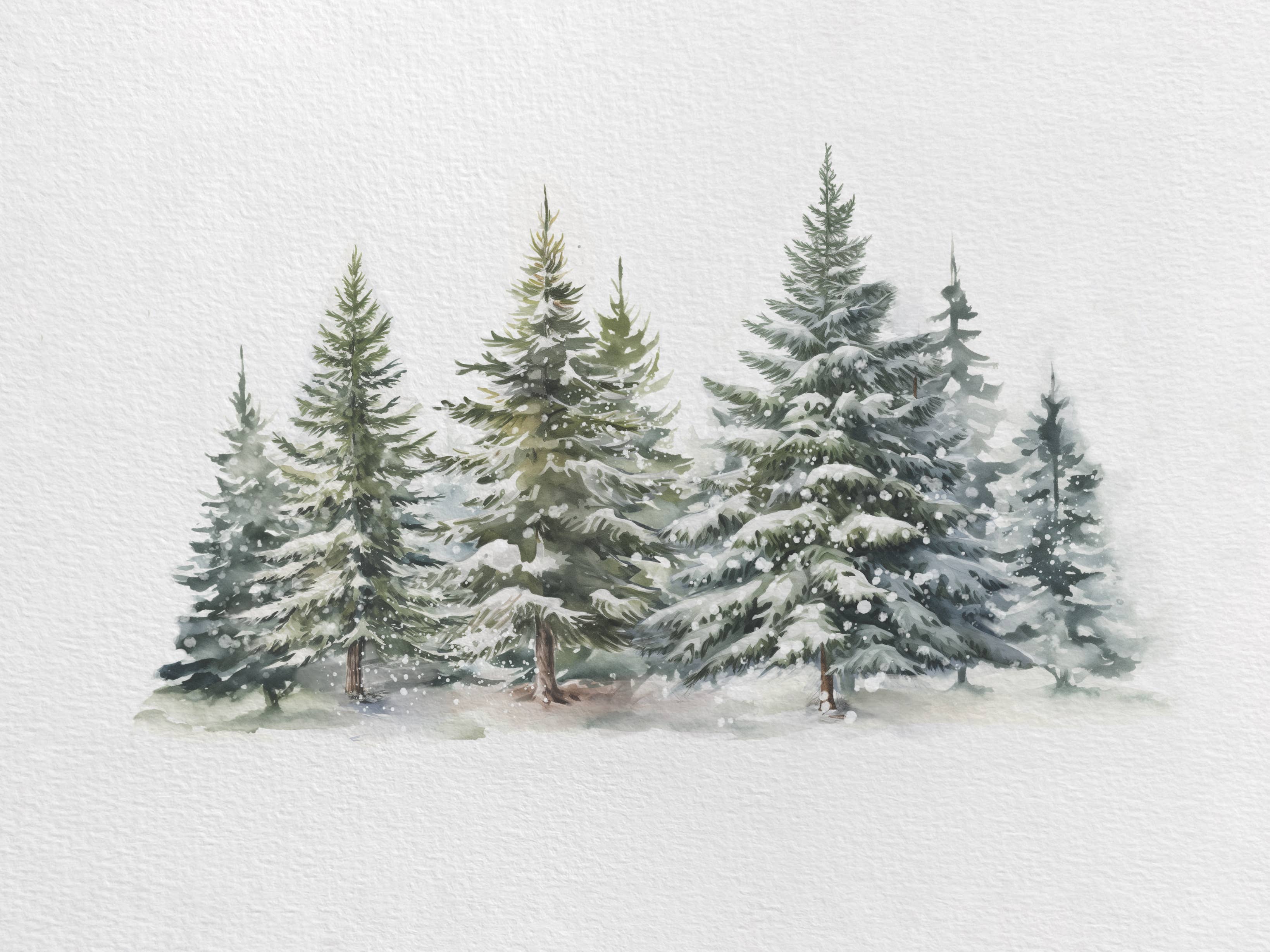 Evergreen Forest Art Print 11 x 14