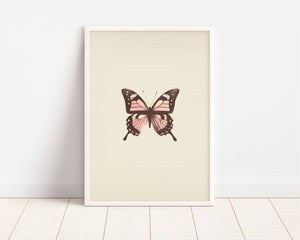 Antique Butterfly Art Print