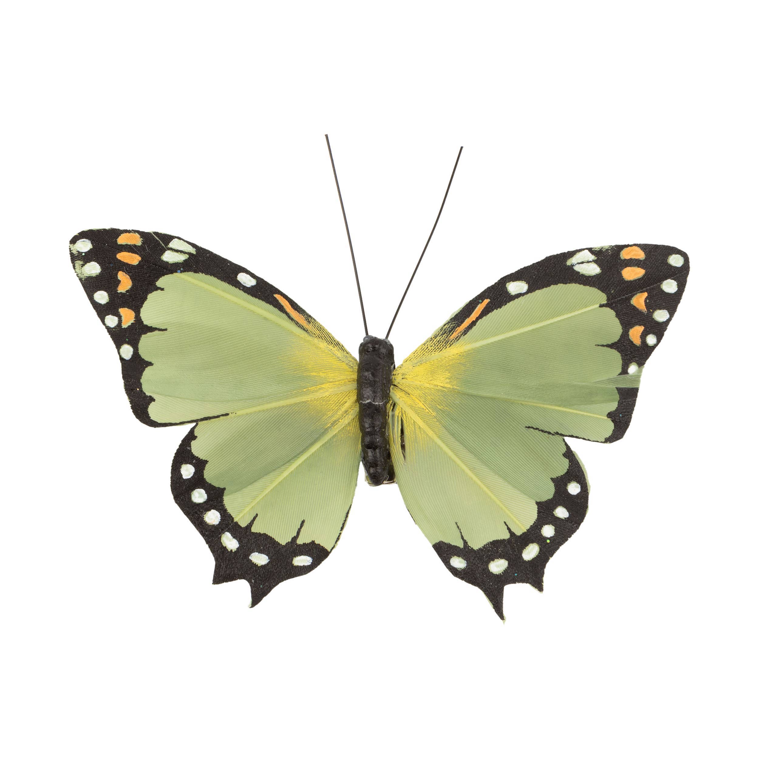 A64305: Pale grn butterfly clip,4in