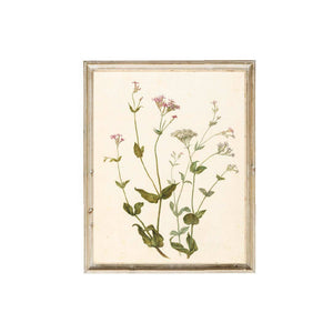 Wildflower Vintage Art 11 x 14