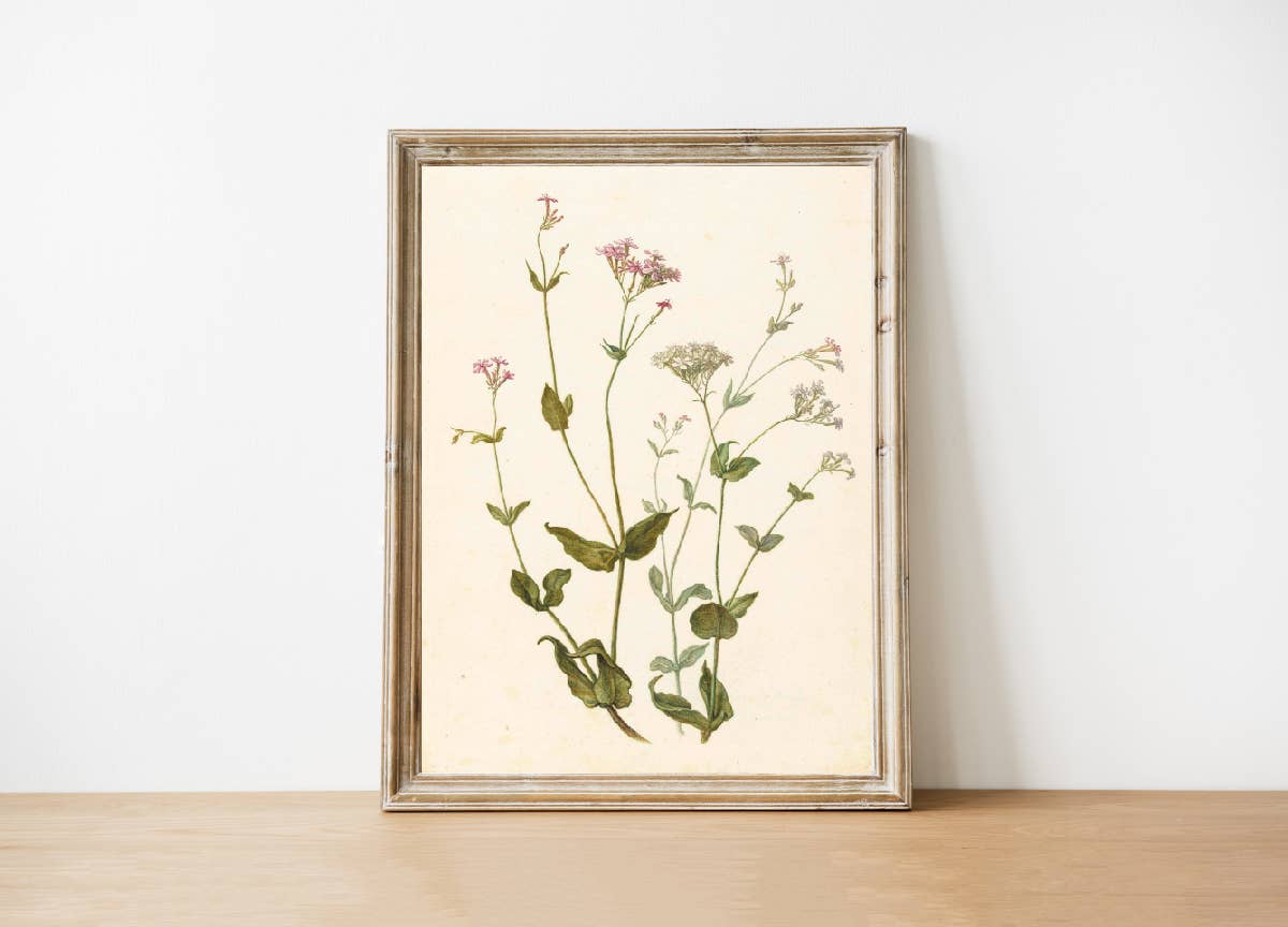 Wildflower Vintage Art 11 x 14