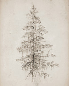 Tree Art Print | 11 x 14