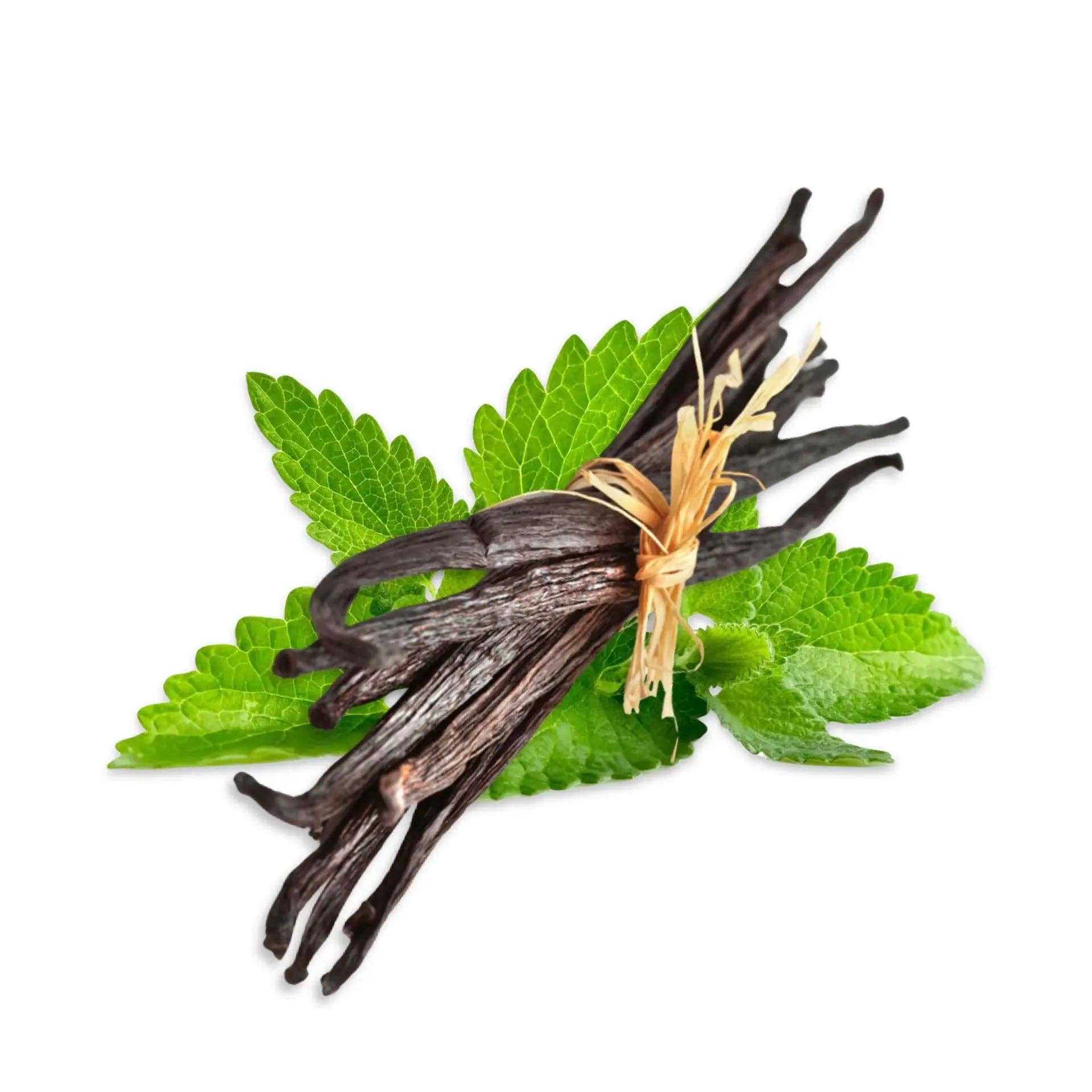 Incense Sticks - Patchouli Vanilla - Pack of 10