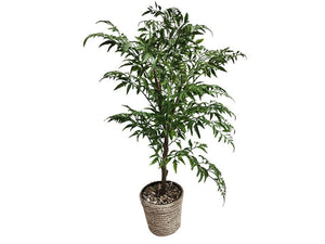 Artificial Leafy Plant, 20"H, in 5"D Jute Pot