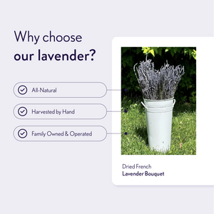 Dried French Lavender Bouquets- Ontario Grown