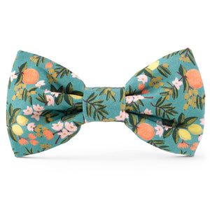 Rifle Paper Co. x TFD Citrus Floral Spring Dog Bow Tie