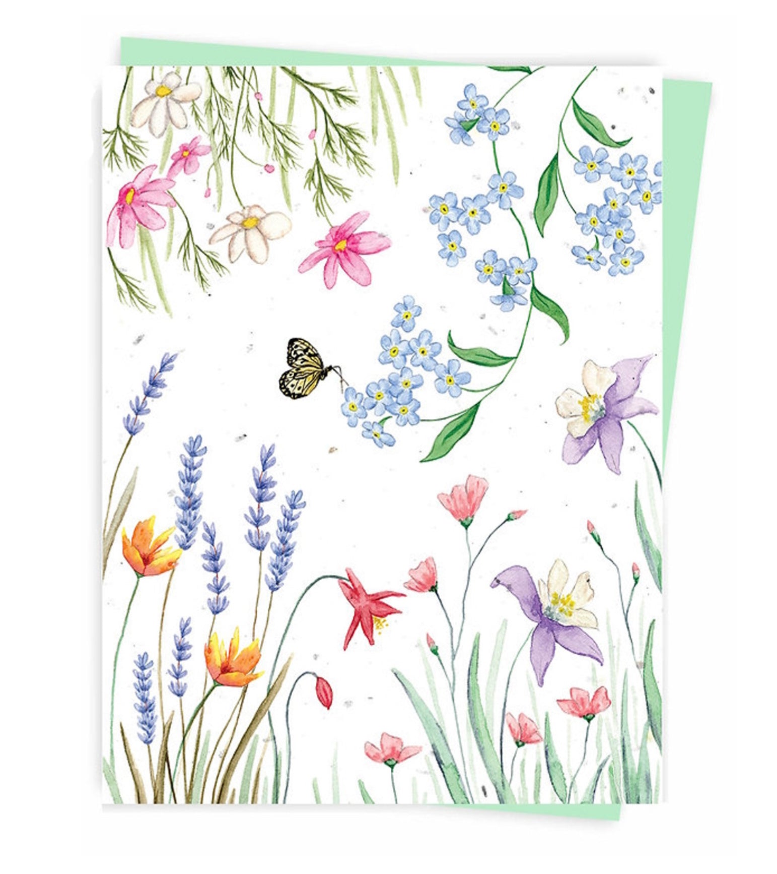 Plantable Greeting Cards