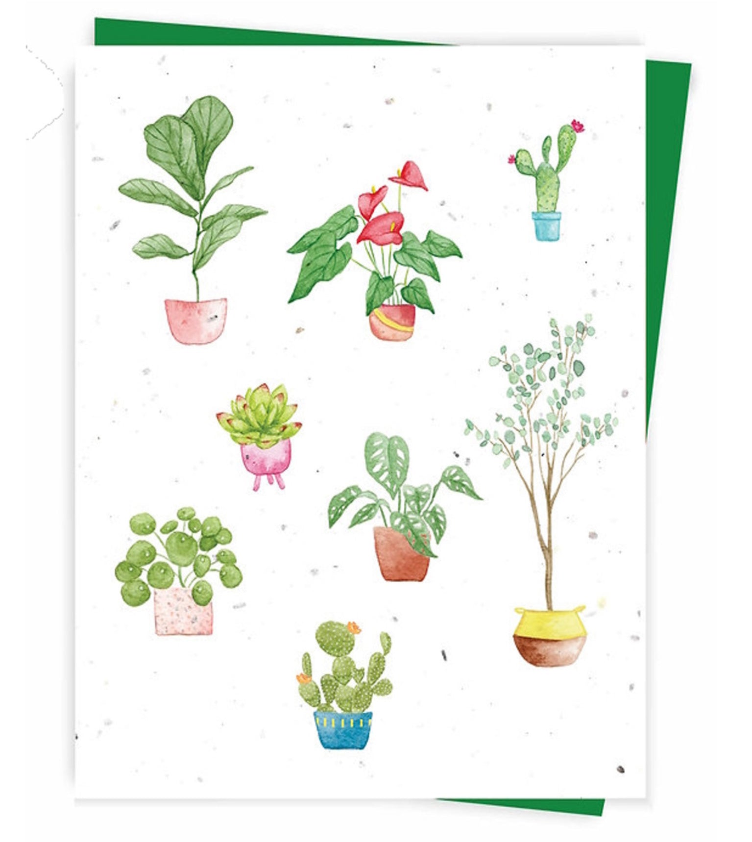 Plantable Greeting Cards
