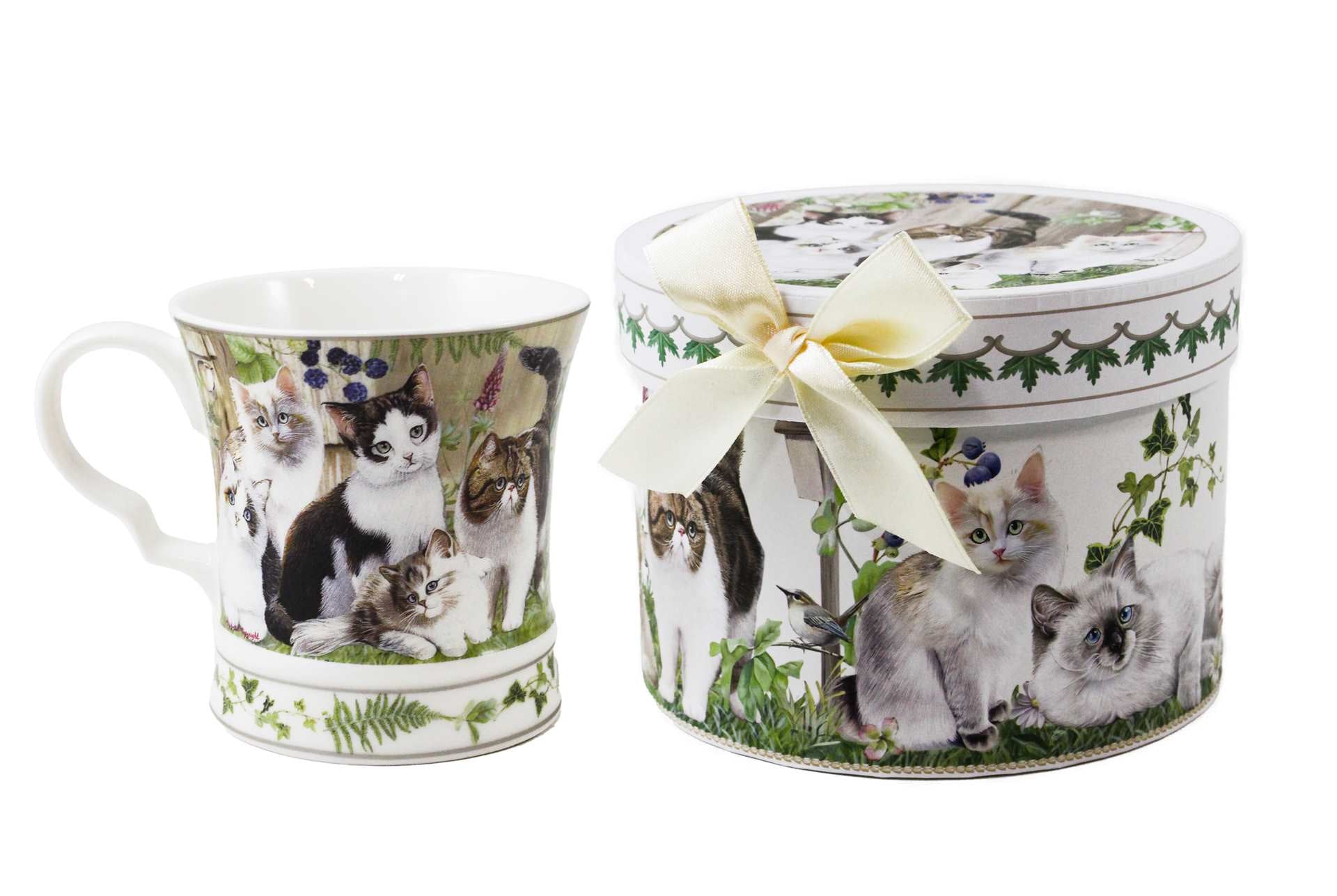 Cat  Mug Green with Gift a box