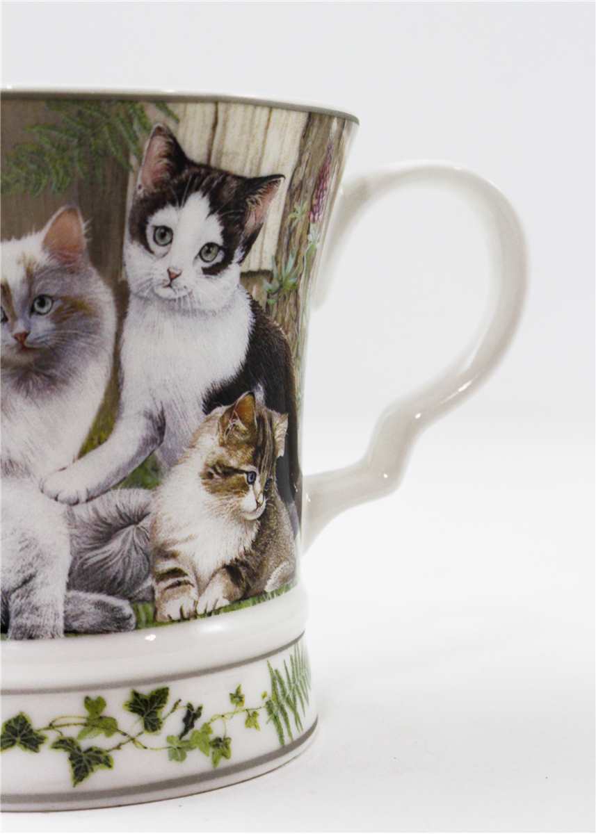 Cat  Mug Green with Gift a box