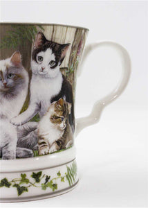 Cat  Mug Green with Gift a box