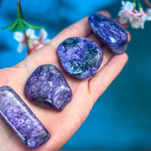 Polished Charoite