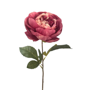 Garden Peony Spray -Rose