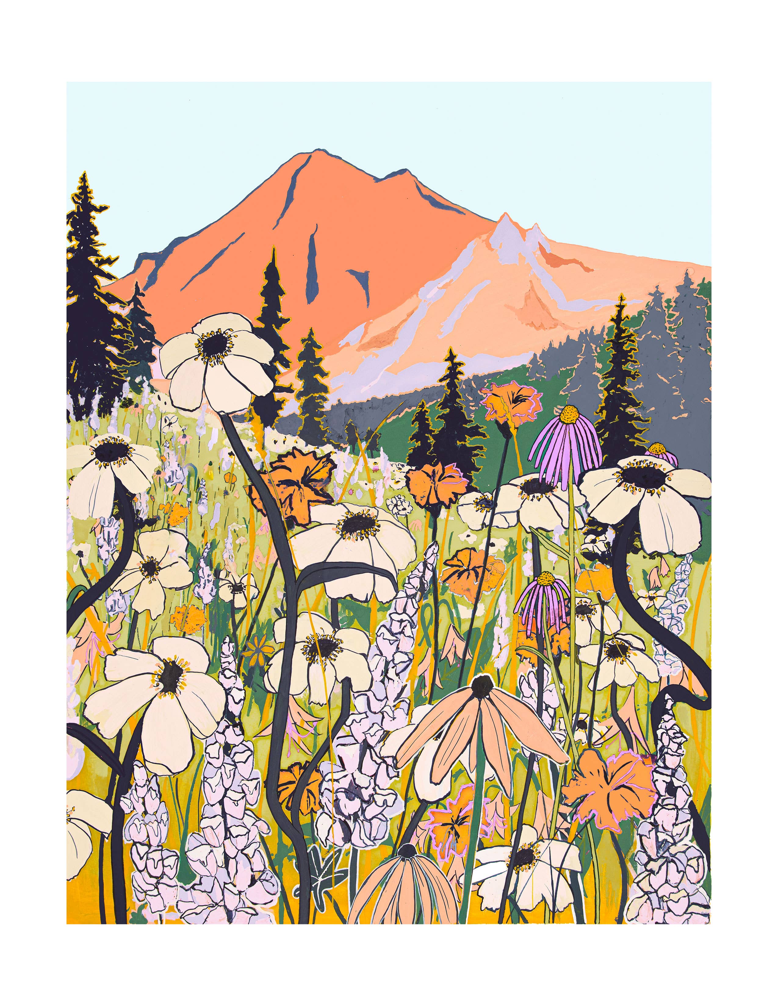 Mountain Wildflowers by Liz Miles