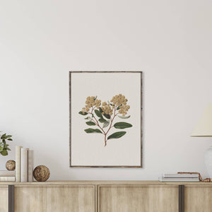 Vintage Flower Print Framed | Floral Botanical