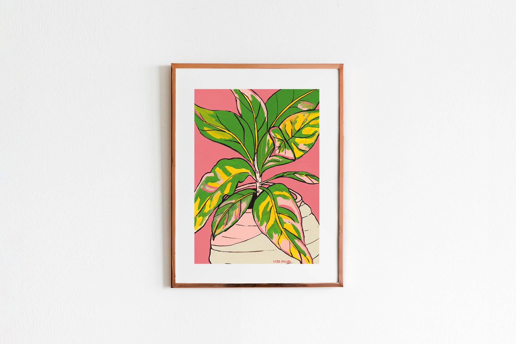 Croton Plant by Liz Miles