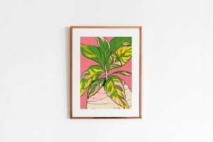 Croton Plant by Liz Miles
