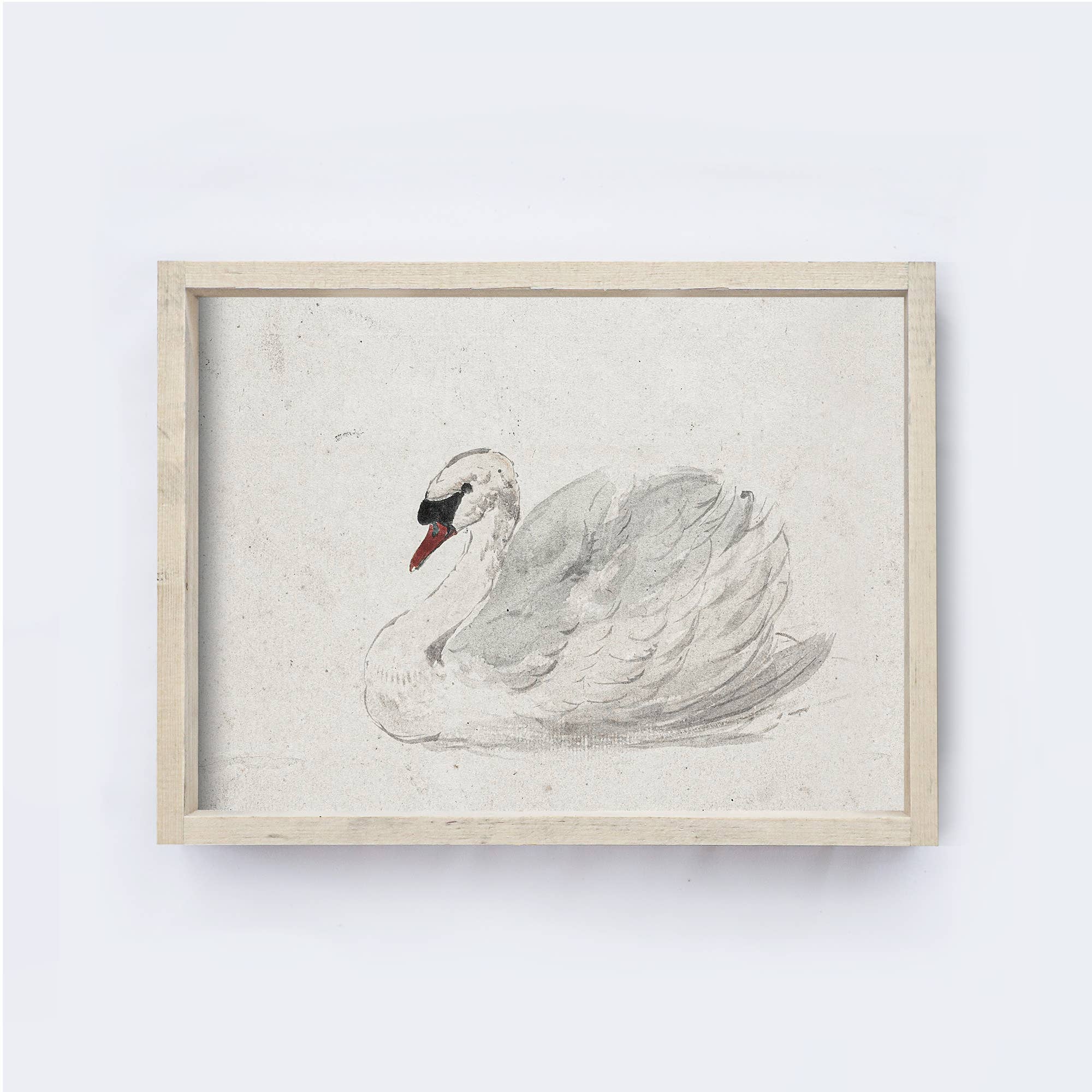 Vintage Art Print Framed | White Swan Painting