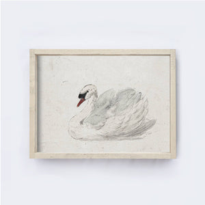 Vintage Art Print Framed | White Swan Painting