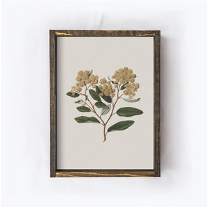 Vintage Flower Print Framed | Floral Botanical