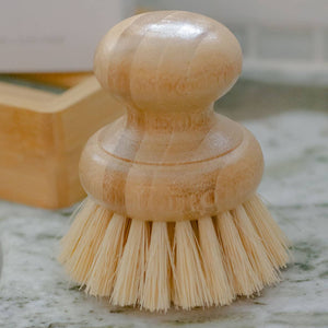 CASA AGAVE® Dish Washing Brush - No Tox Life