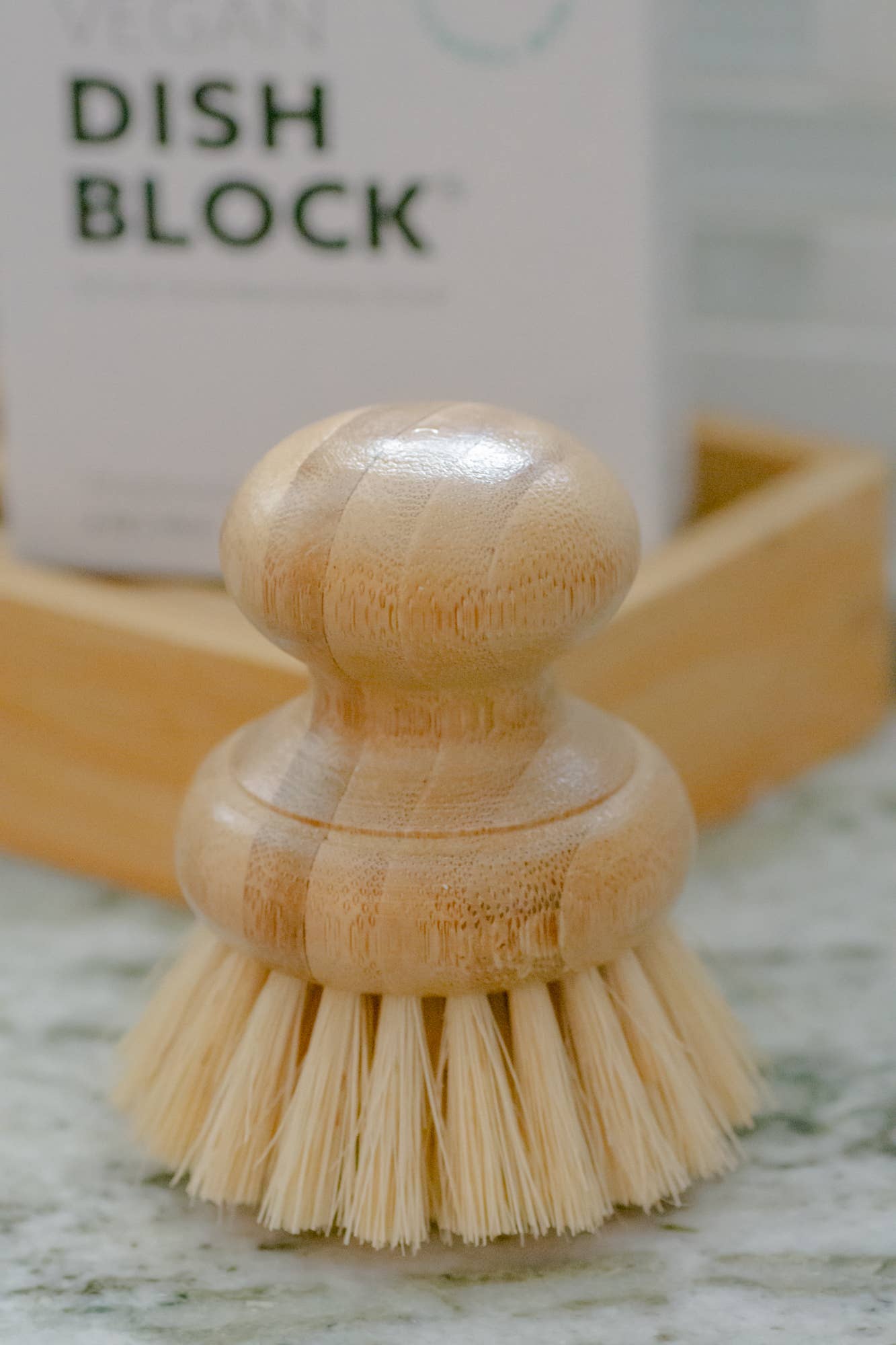 CASA AGAVE® Dish Washing Brush - No Tox Life