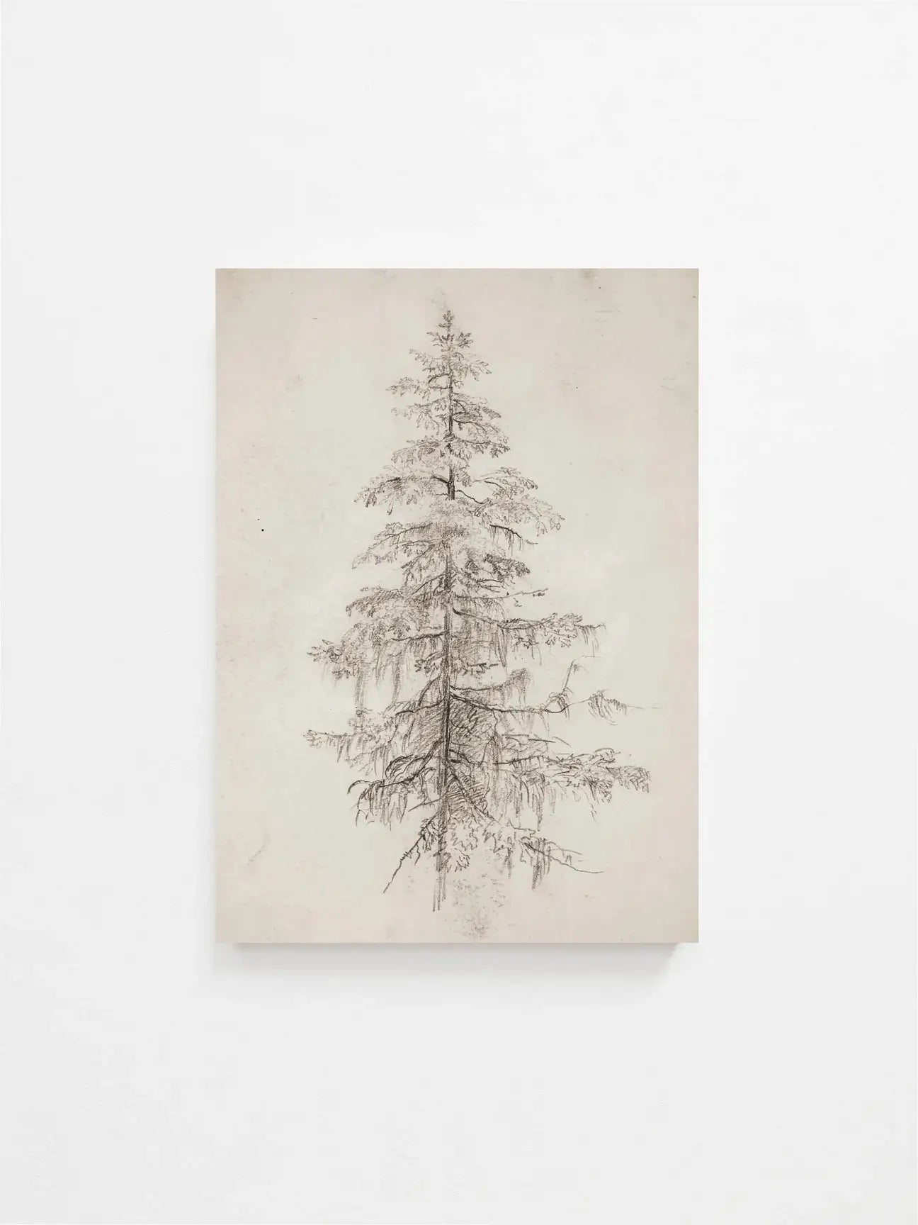 Tree Art Print | 11 x 14