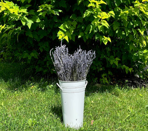 Dried French Lavender Bouquets- Ontario Grown