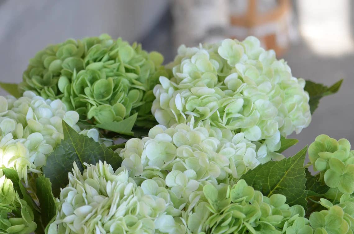 18" Large Bloom Supreme Real Touch Hydrangea