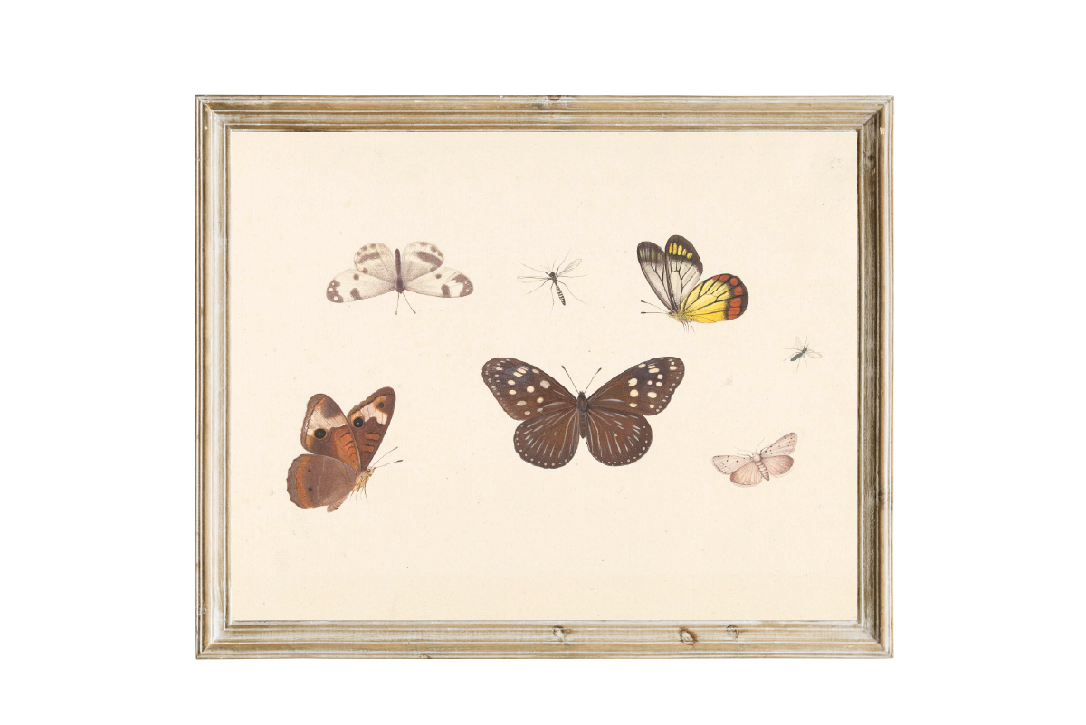 Vintage Art Print Butterflies