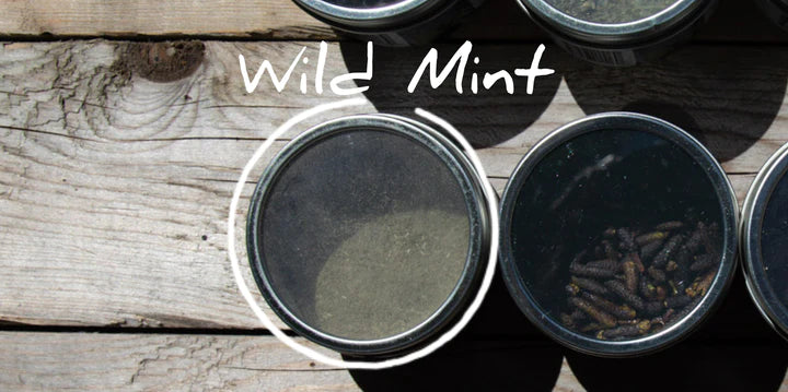 Boreal Heartland Wild Mint Seasoning 20g