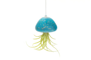 Jellyfish Airplant Holder