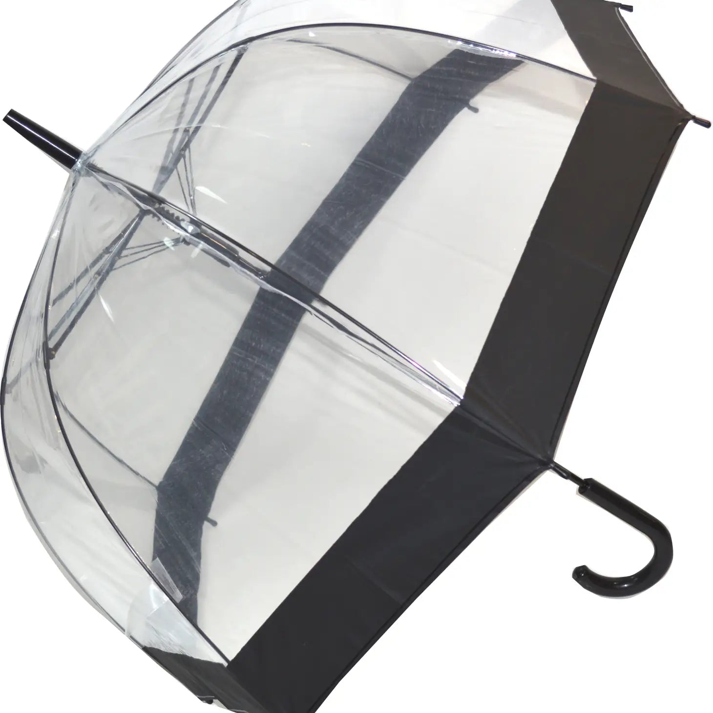 Clear Dome Black Stripe Umbrella