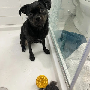 Monty’s Wheatstraw and Silicone Dog Shampoo Brush