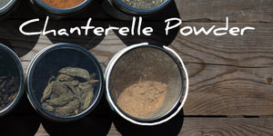Boreal Heartland Chanterelle/Wild Rice Powder Seasoning 20g