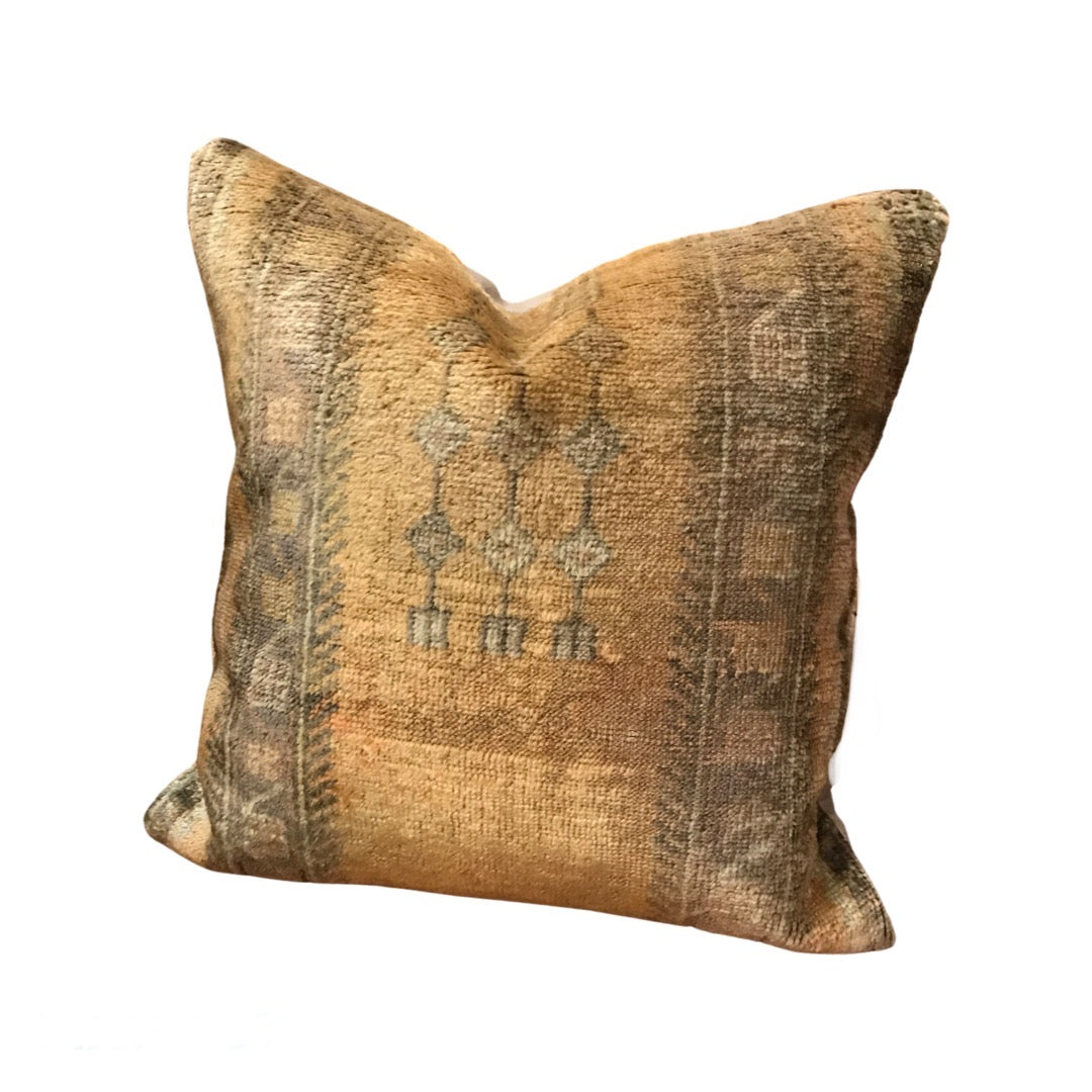 Vintage Turkish Rug Pillow~ Asplundia Truncata