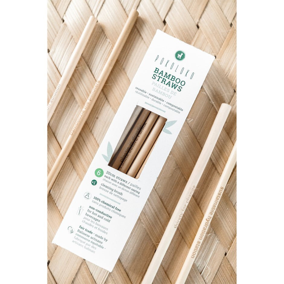 Fair Trade Bamboo Straws - Package Of 6