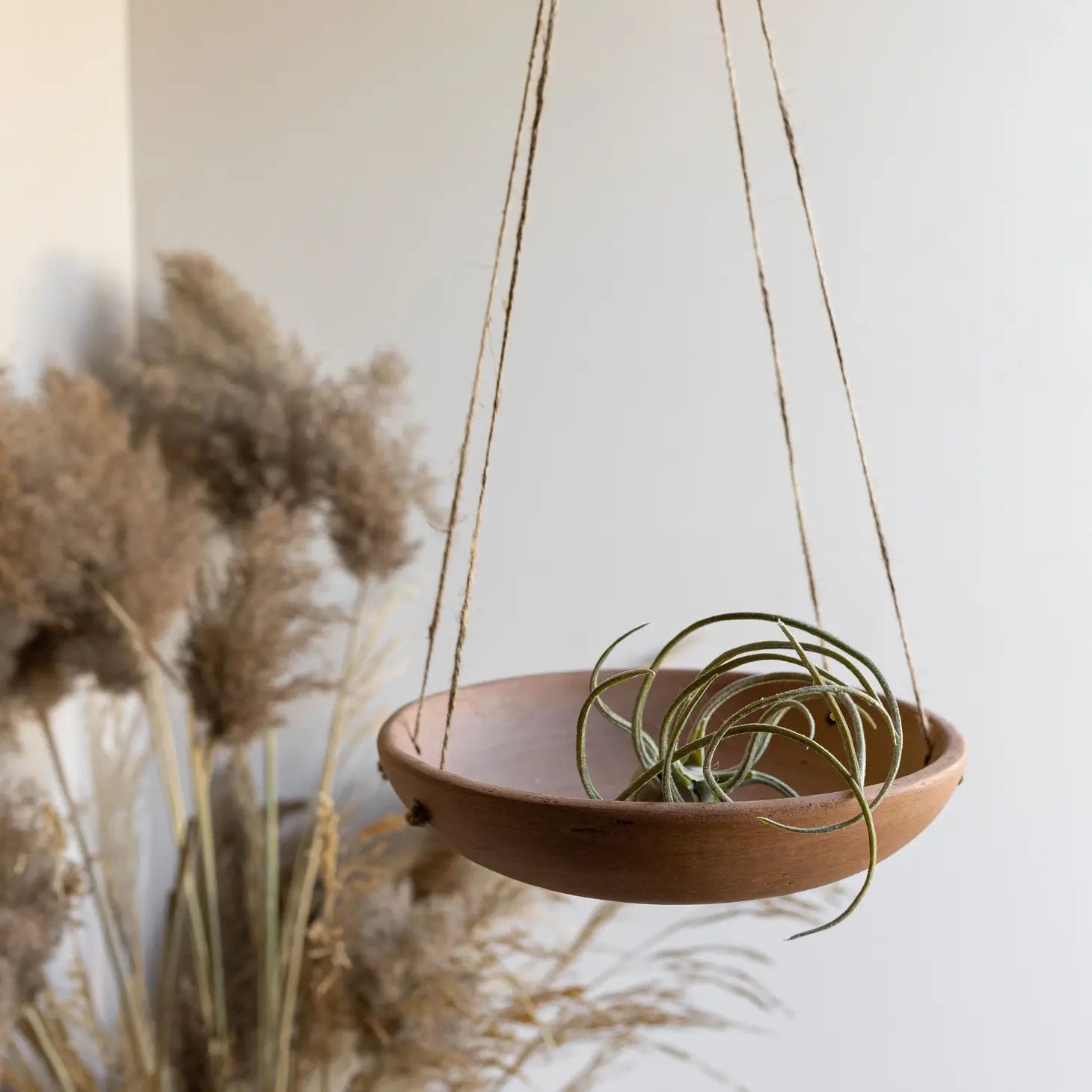 Hanging Terracotta Tray Planter